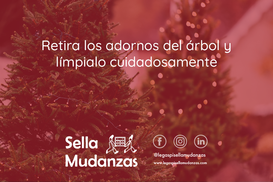 Cómo recoger el árbol de navidad