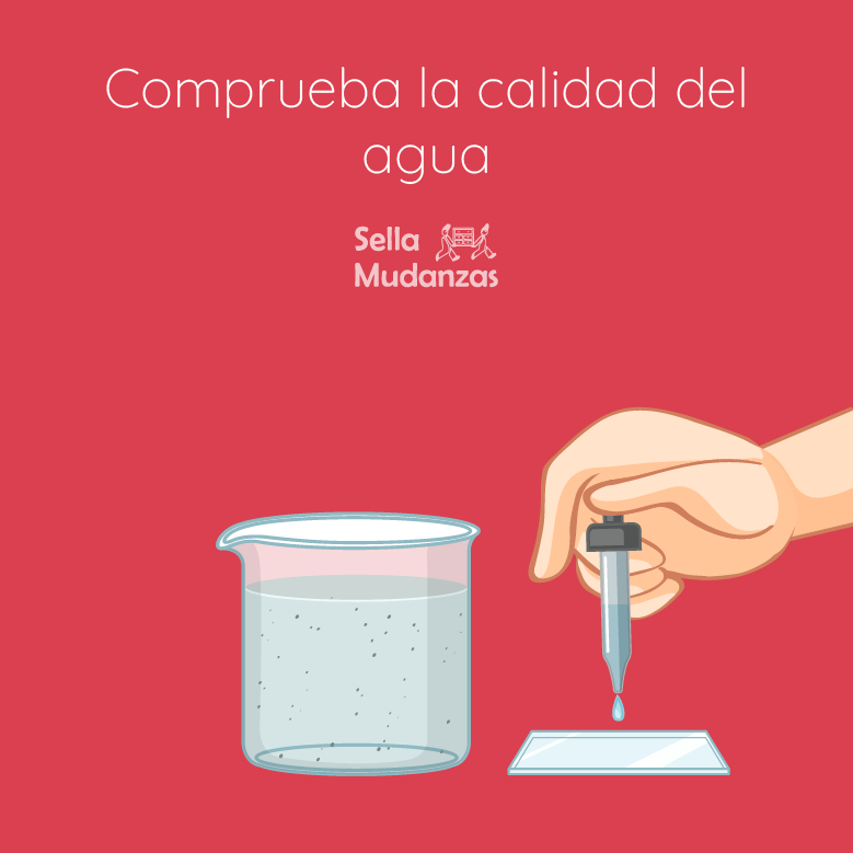 Guía para Mudanzas Exitosas: Consejos Esenciales para Cuidar tus Peces y Acuarios